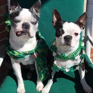 Meet your Posher, Barbara